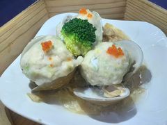 -金龙寨(龙城路店)