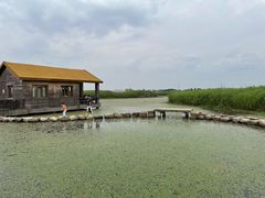 -宁波杭州湾国家湿地公园