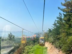 -摩天岭风景区