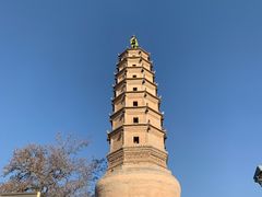 -白塔山公园