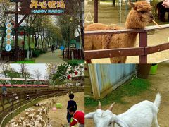 -盈香心动乐园
