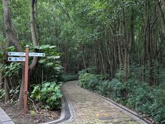 -同里国家湿地公园