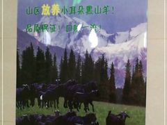 -菌海森林·非遗野生菌火锅(西山区滇池路摩根道店)