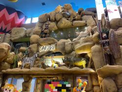 -卡通尼·Safari非洲探索乐园·生日会(金桥国际商业广场店)