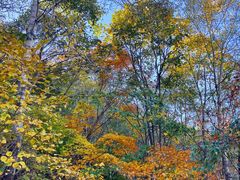 -玉渡山自然风景区