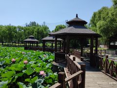 -尚庄度假村·庭台树下·户外烧烤·团建CS·轰趴营地(上庄水库店)