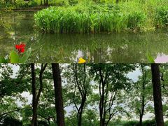 -东湖落雁景区
