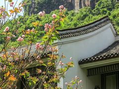 -阳朔悦榕庄·明月西餐厅&清风吧