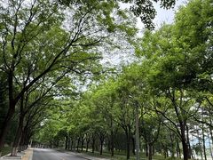 -北坞公园