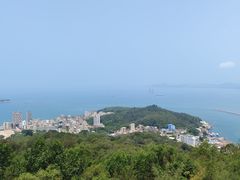 -广东惠东海龟国家级自然保护区