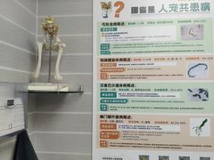 -芭比堂动物医院·心脏科·老年急重症·夜诊·吉雅分院