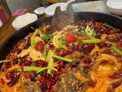 -老板恋上鱼(印象城店)