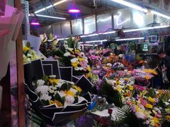 -花鸟鱼虫鲜花绿植市场(玉泉路店)
