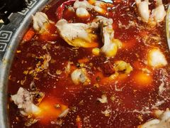 -销魂美蛙鱼头火锅(上海首店)