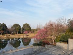 -雅达·阳羡溪山小镇中心