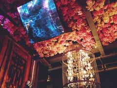 -喜鹊音乐酒馆(西街店)