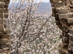 -蟠龙山长城景区