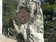 -王顺山国家森林公园