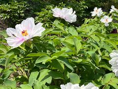 -江南大学(蠡湖校区)