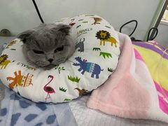 -达爱动物医院·犬猫分区·CT·复杂眼科(远洋山水分院)