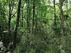 -WeLope紫金山探险公园