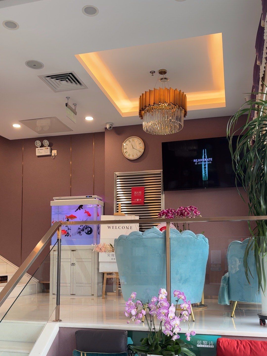 城市尝鲜计划很早之前就听说过贝黎诗 ,算是美容院界的老品牌了 !