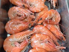 -胶东海鲜大排档(北太平庄店)
