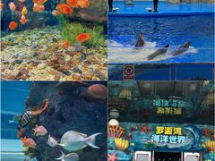 -福州罗源湾海洋世界旅游区