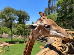 -云南野生动物园