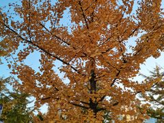 -辽东学院(南校区)