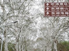 -东湖听涛景区