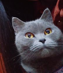 -首珥假日美睫美甲