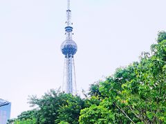 -文华公园(禅城区)