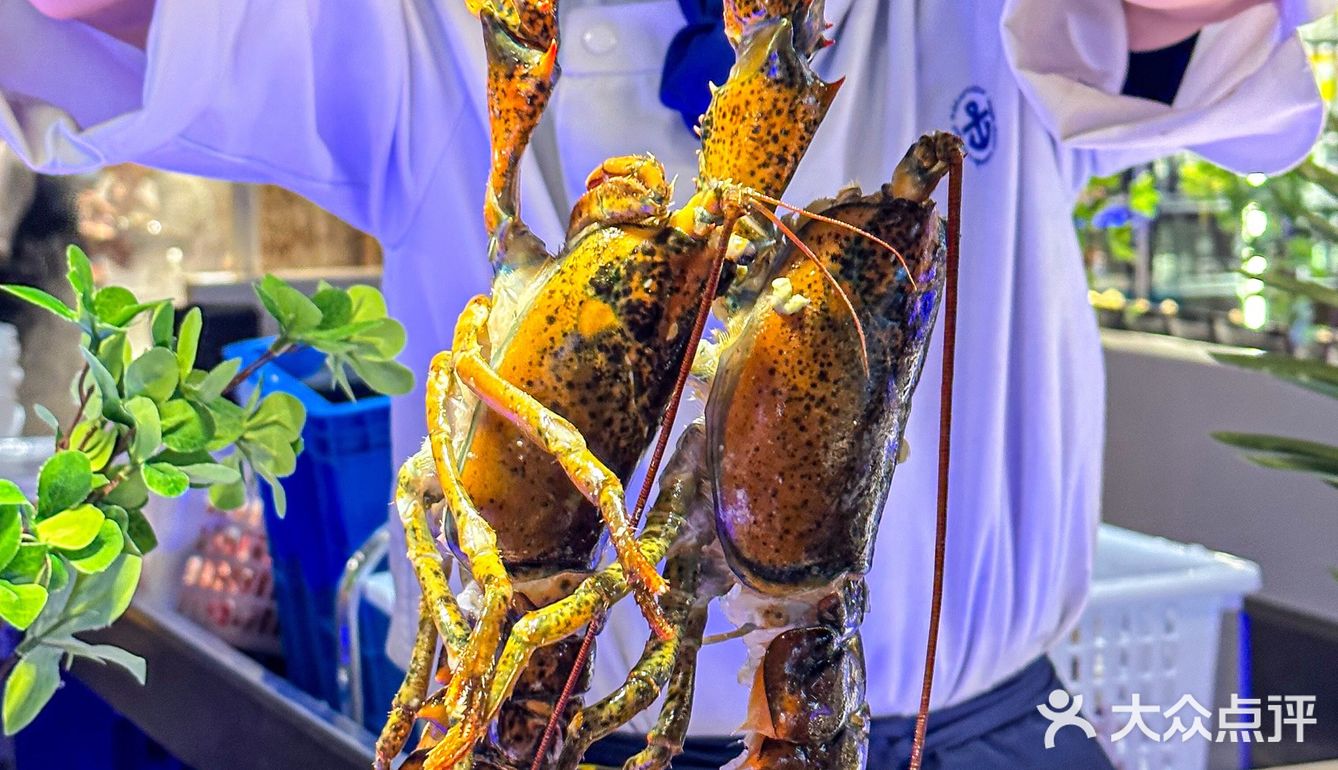 帝王蟹、黄金海胆、波龙……预计下一家自助餐顶流