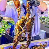 帝王蟹、黄金海胆、波龙……预计下一家自助餐顶流