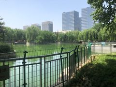 -黄村公园