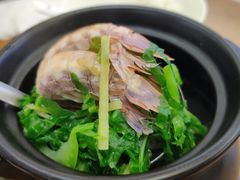 -鑫鸿达·海鲜闽菜热炒小馆(中山路店)