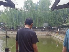 -尚庄度假村·庭台树下·户外烧烤·团建CS·轰趴营地(上庄水库店)