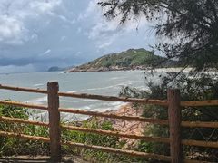 -广东惠东海龟国家级自然保护区
