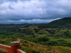 -御道口草原森林风景区