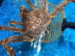 -盒马鲜生(夫子庙店)