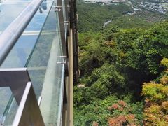 -亚龙湾热带天堂森林公园