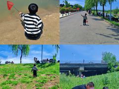 -洨河生态公园