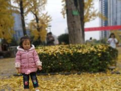 -百林公园-两江幸福广场