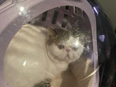 -FAELING PETS美天灵宠物(富力广场店)
