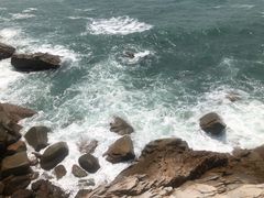 -广东惠东海龟国家级自然保护区