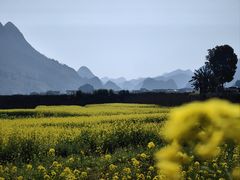 -万峰林风景区