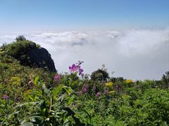 -白草畔自然风景区