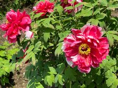 -江南大学(蠡湖校区)