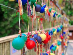 -西双版纳原始森林公园